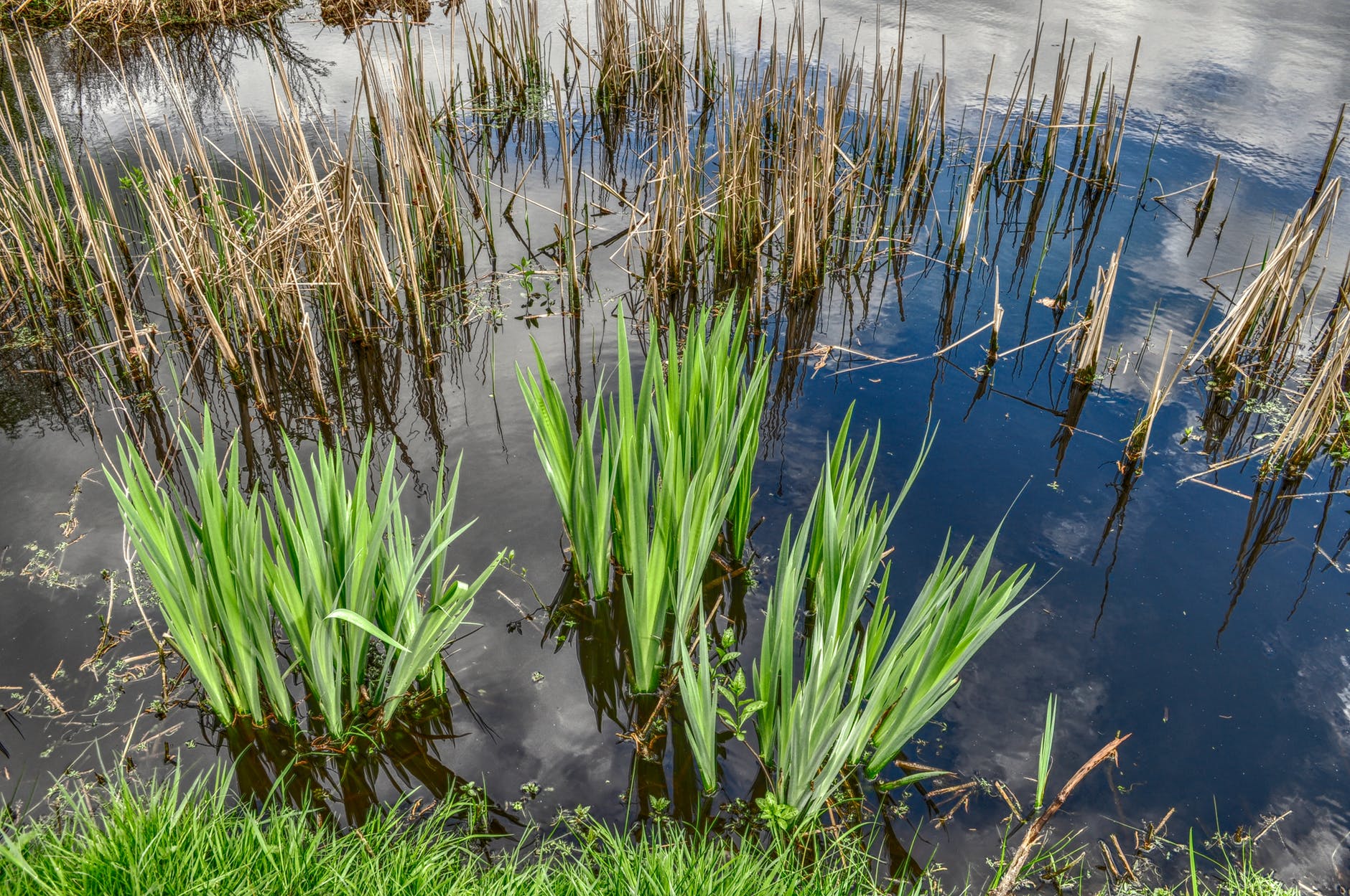 sea-lake-pond-hdr.jpg